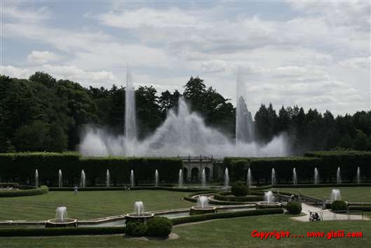 Click for large image