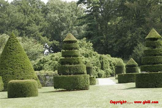 Click for large image