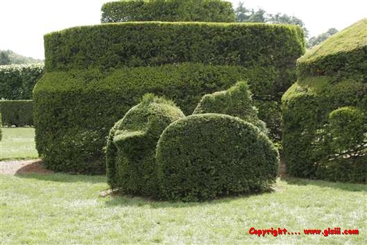 Click for large image