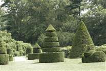 Click for large image