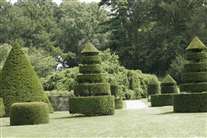 Click for large image