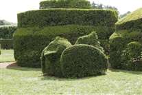 Click for large image